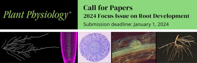 Call for Papers: 2024 Focus Issue on Root Development! The Focus Issue welcomes submission of research articles using different plant models or crop plants and root types, to contribute to a comparative and comprehensive view.  Submission Deadline: 1/01/24 buff.ly/47zAsQy