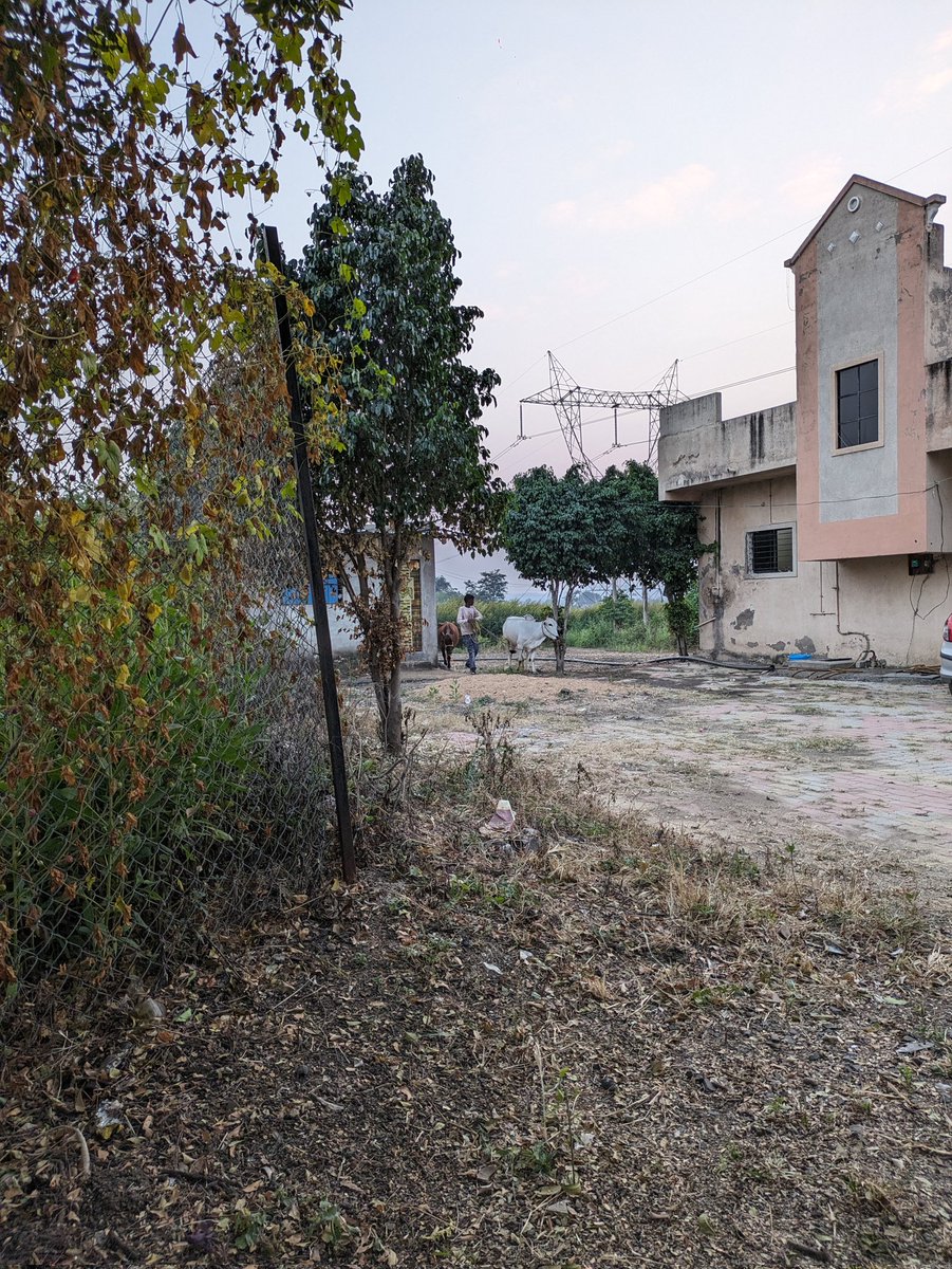 sagar_sb_'s tweet photo. Escaping the urban chaos to find solace in the quiet rhythms of village life 🌻🏡 https://t.co/cBgtfBDpP2