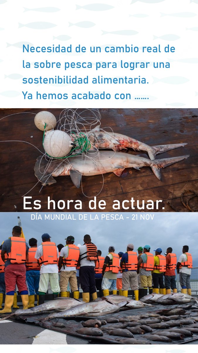 Fundación Malpelo tweet media