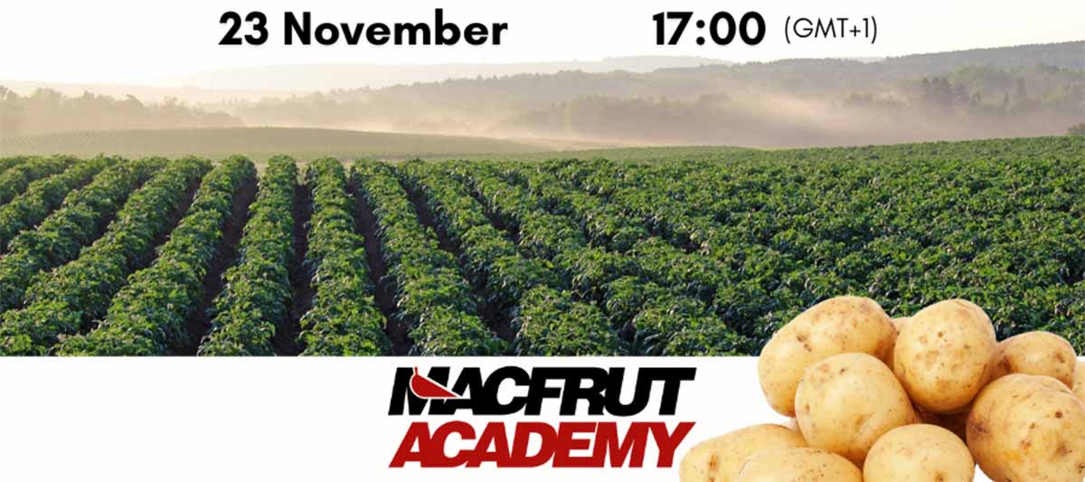 FruitbookMag's tweet photo. @MacfrutFiera, #MacfrutAcademy al via: la filiera della patata al centro della prima video-lezione giovedì https://t.co/46hWSlNSv3 https://t.co/bpz0f2aZb3