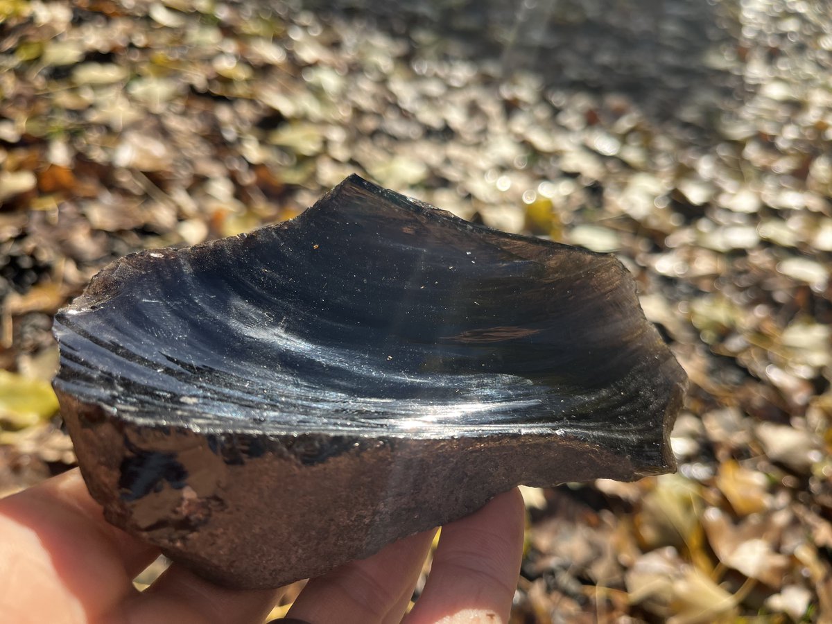ProxyUniversal's tweet photo. Day 5 of #30daysofmaking
Taking things back to the dawn of technology, my friend Max showed me how to strike an obsidian shard. This will be used for a very special purpose in the near future. https://t.co/kKSuPPCkxj
