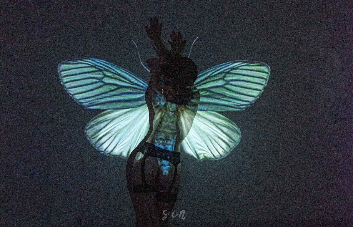 🦋