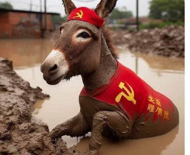 mspbra's tweet photo. O bom é que conseguimos tirar o bozo... https://t.co/0eClzX2Lzz
