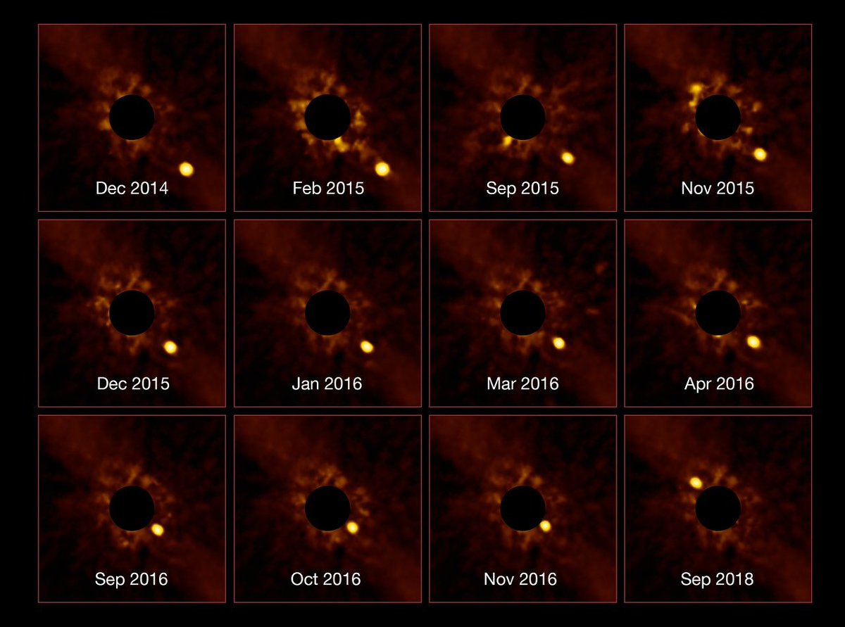 ESO_Chile's tweet photo. Las observaciones luego continuaron con SPHERE, otro instrumento de nuestro #VLT, que capturó una serie de imágenes sin precedentes que muestran el paso de #BetaPictoris b alrededor de su estrella madre.
Más info en 🔗 https://t.co/wgSBgTyhit
📷 ESO/Lagrange/SPHERE consortium. https://t.co/XqakP1fHVQ