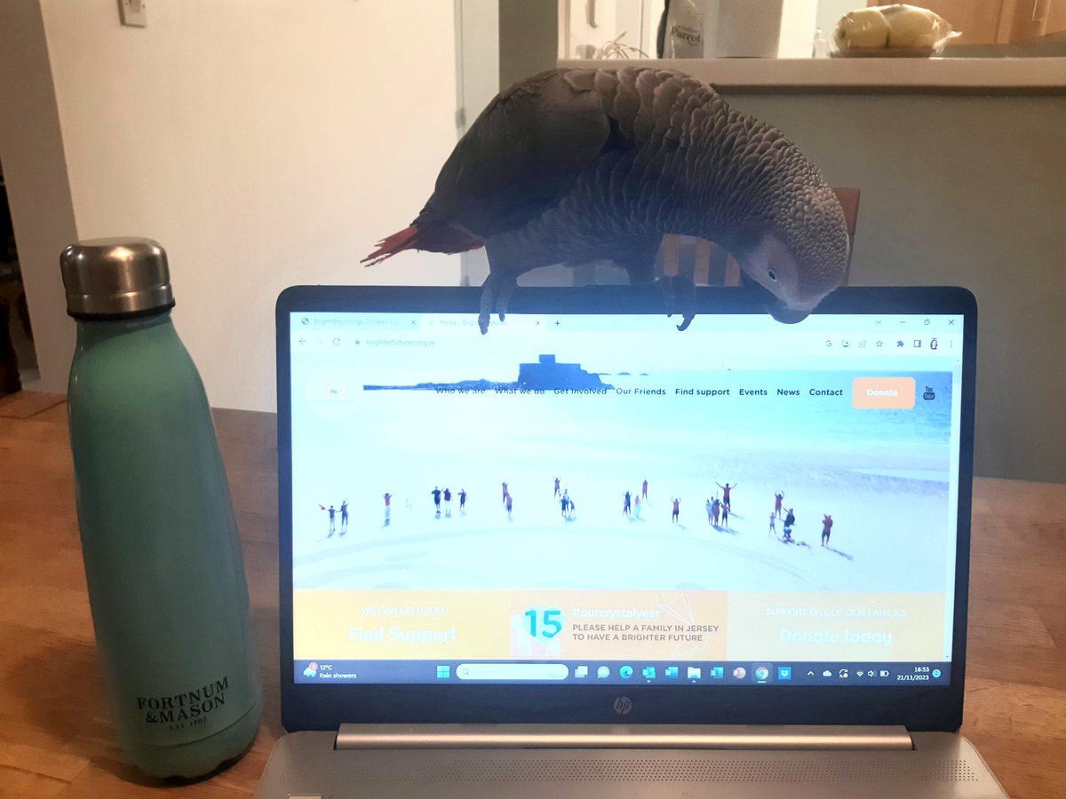 Nobby the #AfricanGrey parrot continues to help with my work, learn more about @brightfutureje and stay hydrated with his @Fortnums water bottle. 
#worklifebalance