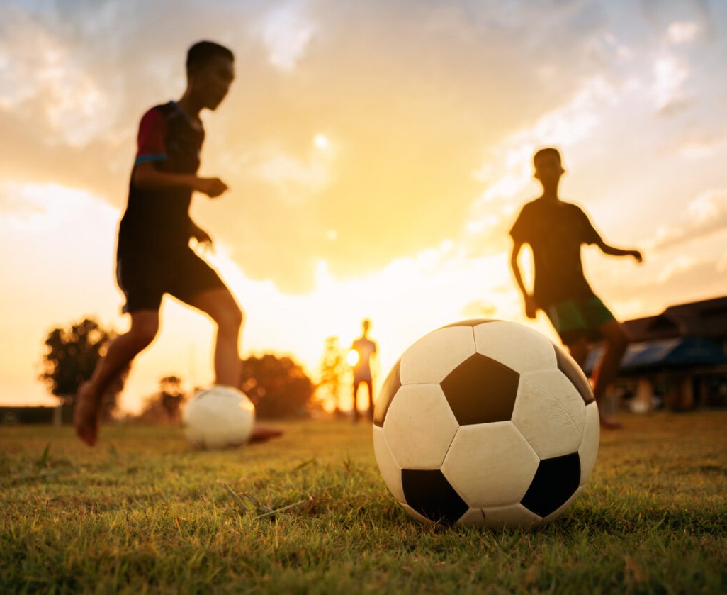 Sport and Health Swansea tweet media