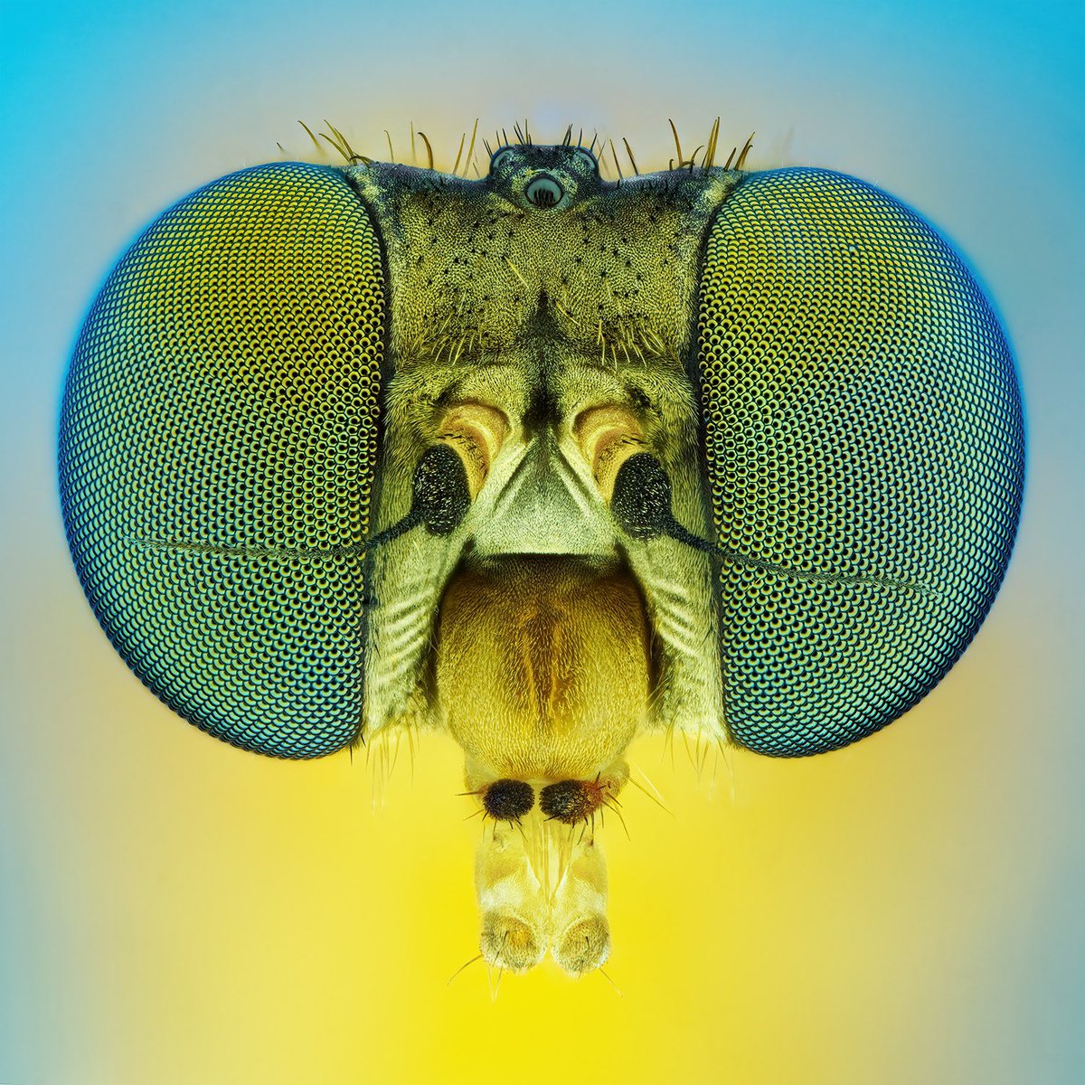 Thorben Danke tweet media