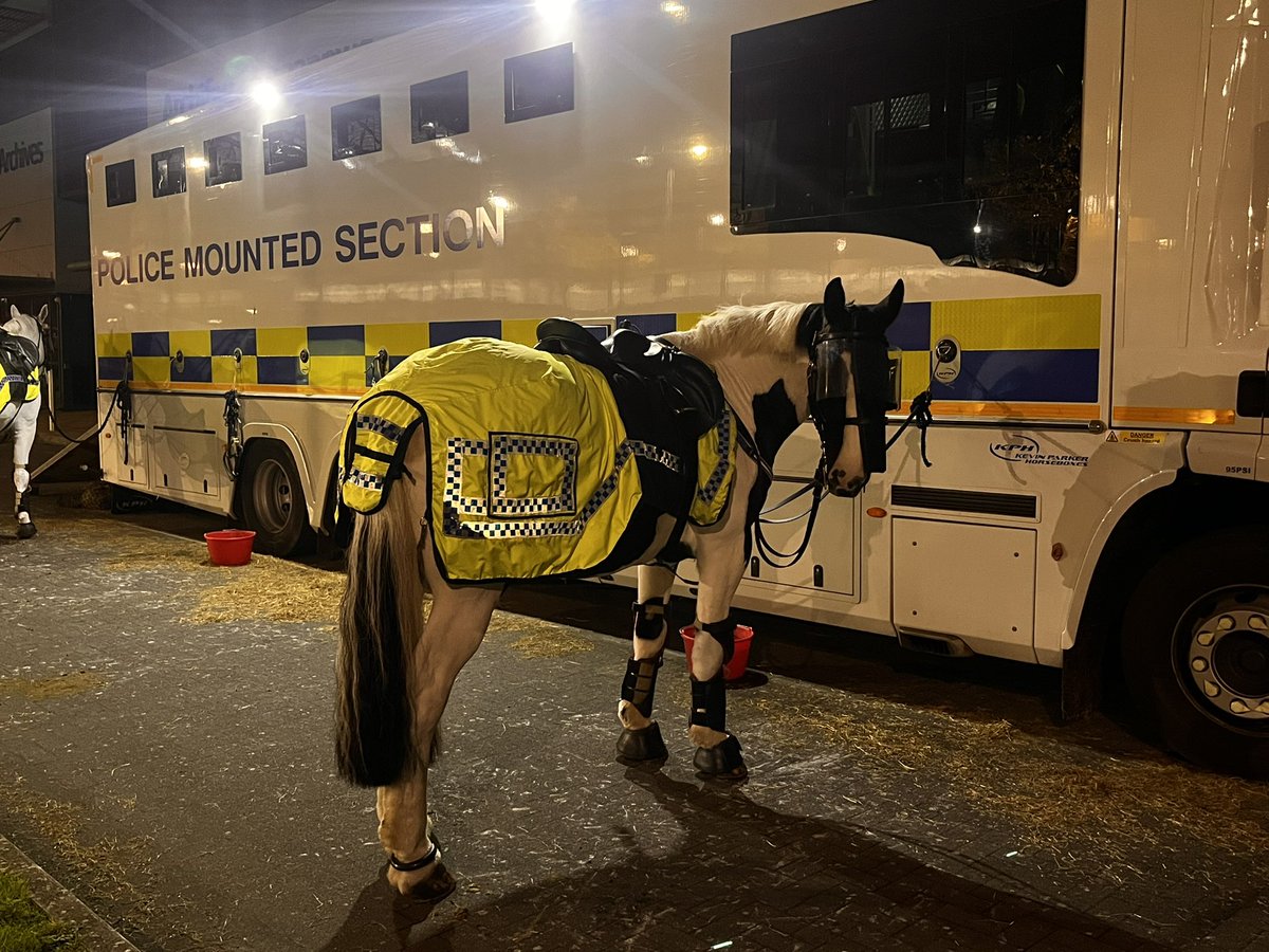 Currently out and about in Cardiff documenting the work of the mounted section as they prepare for a night of policing at #WALvTUR football! @SWPDogsHorses @SWPCardiff