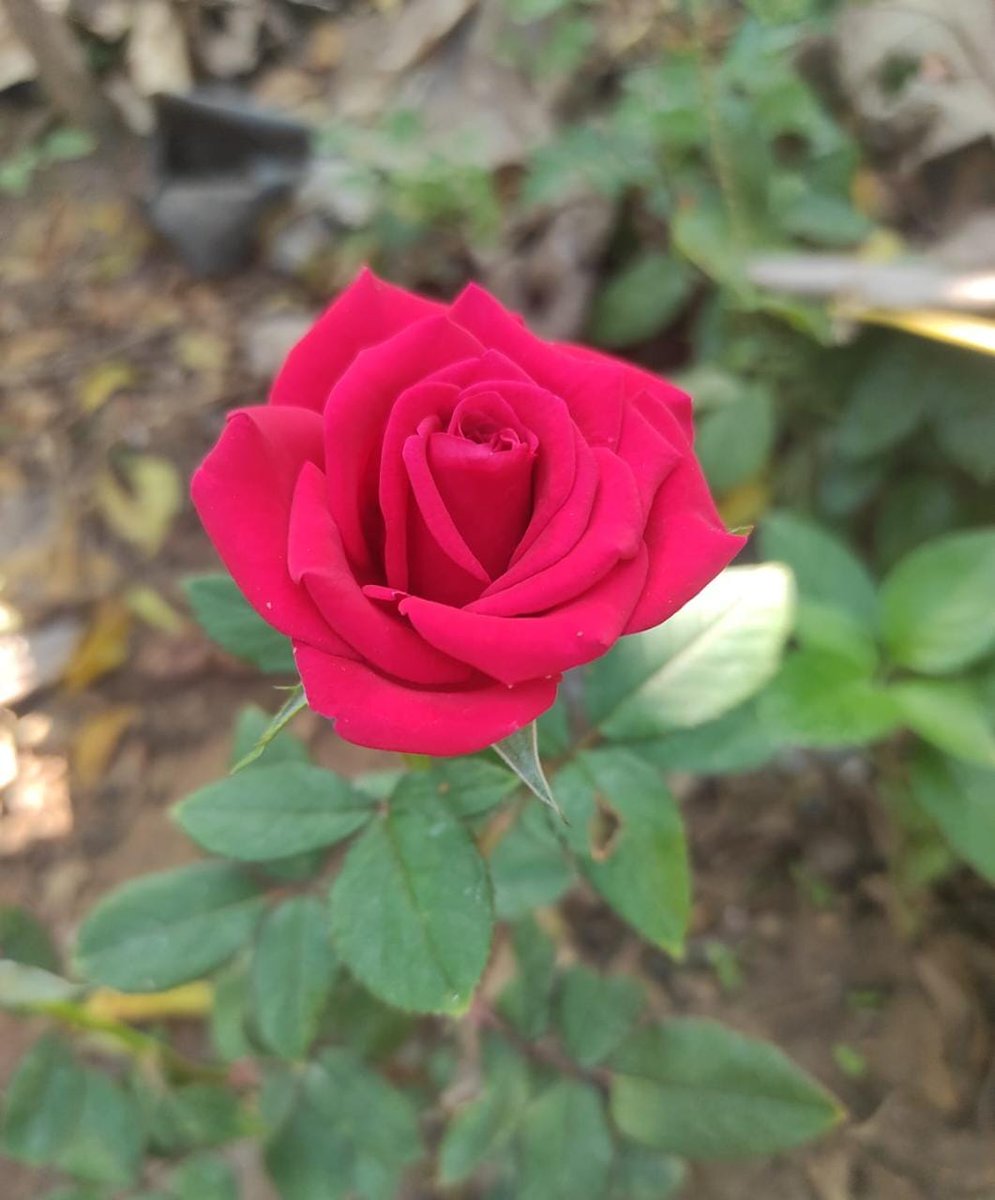 kavithaiselvan's tweet photo. https://t.co/mkpM41qaC8