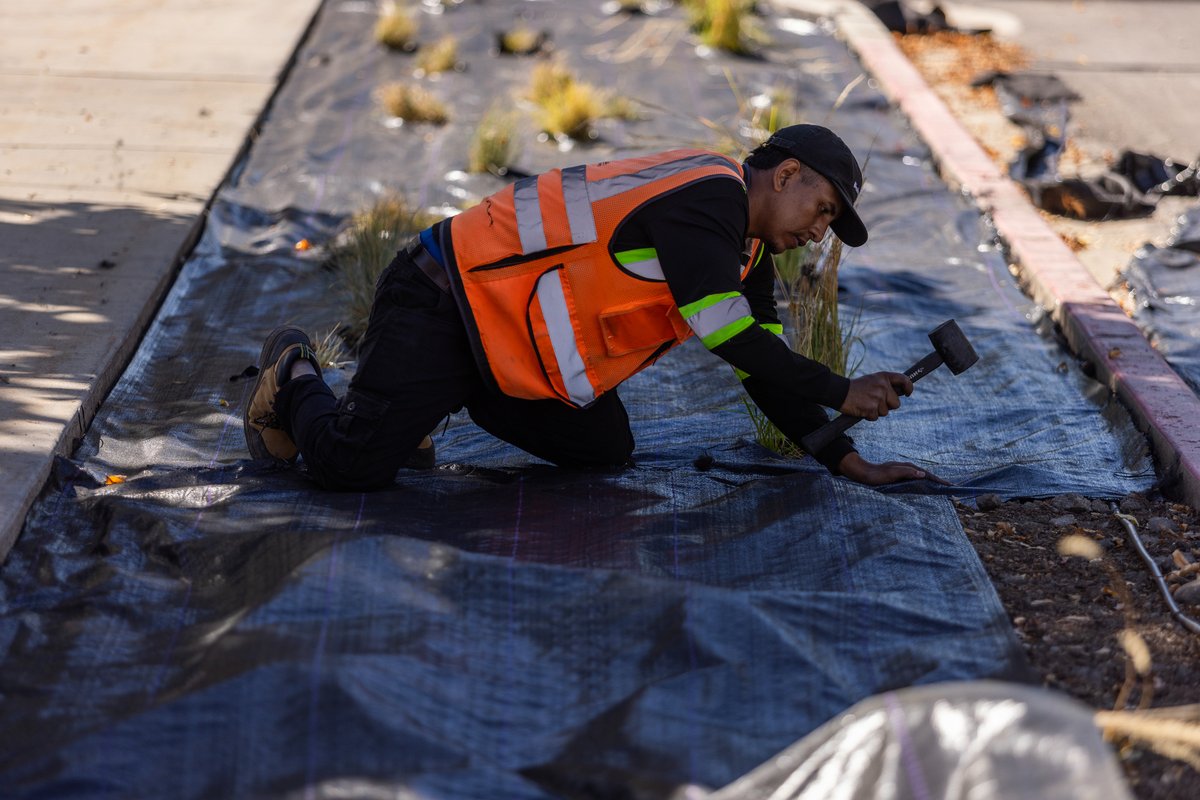 The Church of Jesus Christ of Latter-day Saints tweet media