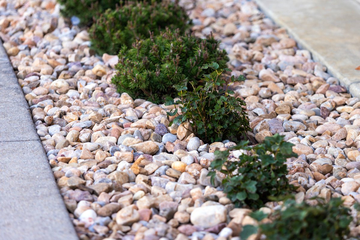 The Church of Jesus Christ of Latter-day Saints tweet media