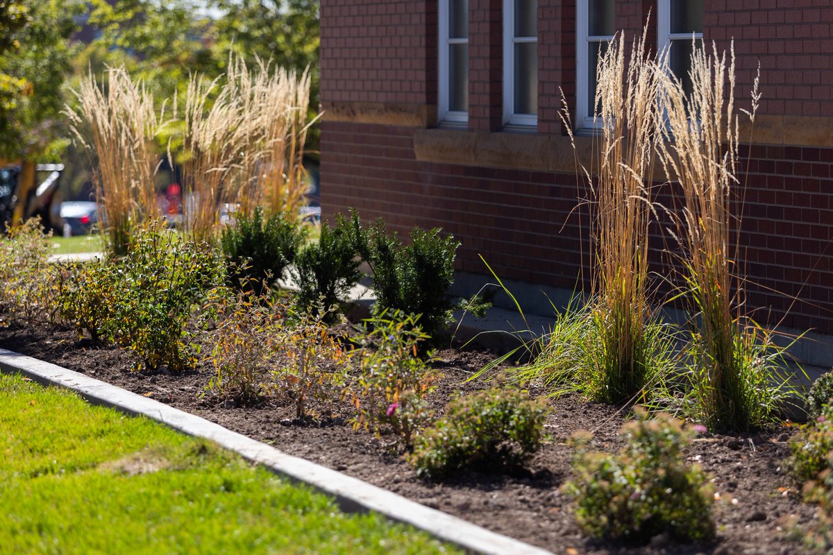 The Church of Jesus Christ of Latter-day Saints tweet media