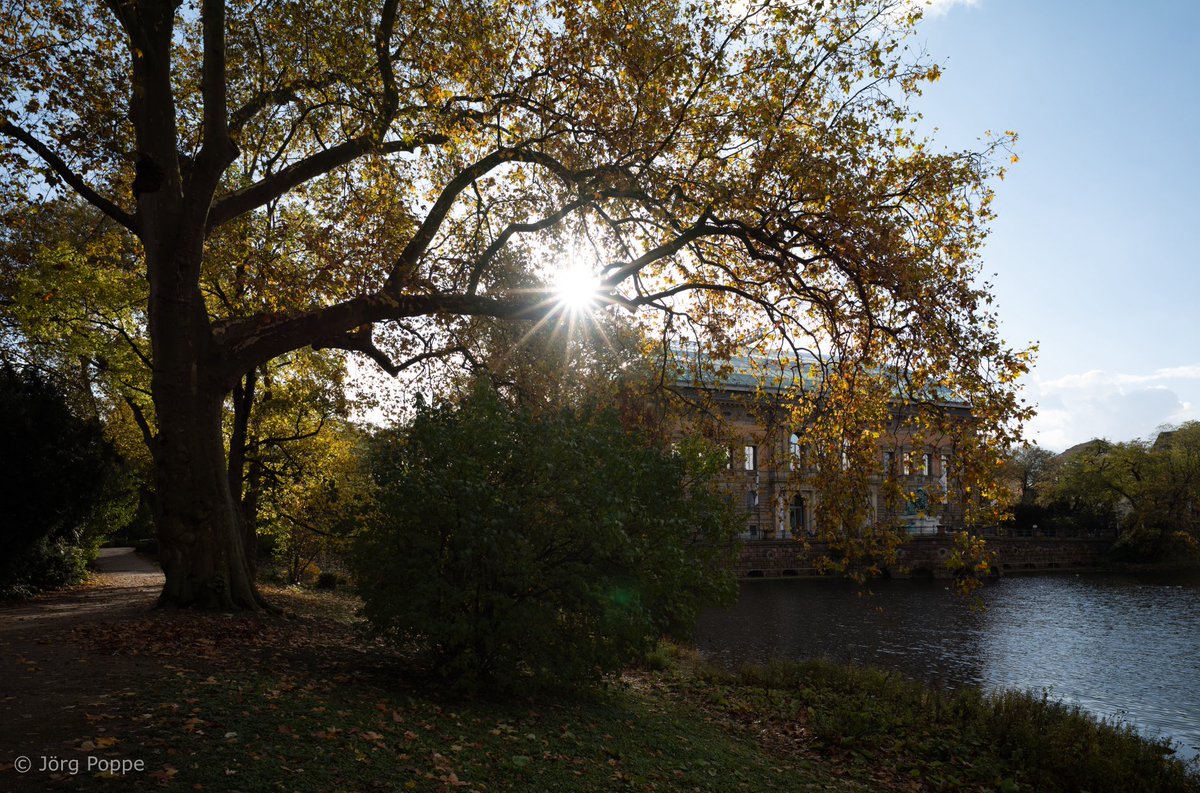 lichtaufnahmen's tweet photo. Herbst (Ständehaus / K21). #düsseldorf #k21 #kunstsammlungnrw #ständehaus #kunstsammlung #herbst #erntezeit #laub #blätterfall #spätjahr #herbstbeginn #laubfall #herbstzeit #herbstfarben #autumn #l46335 https://t.co/KO0eb8b36L