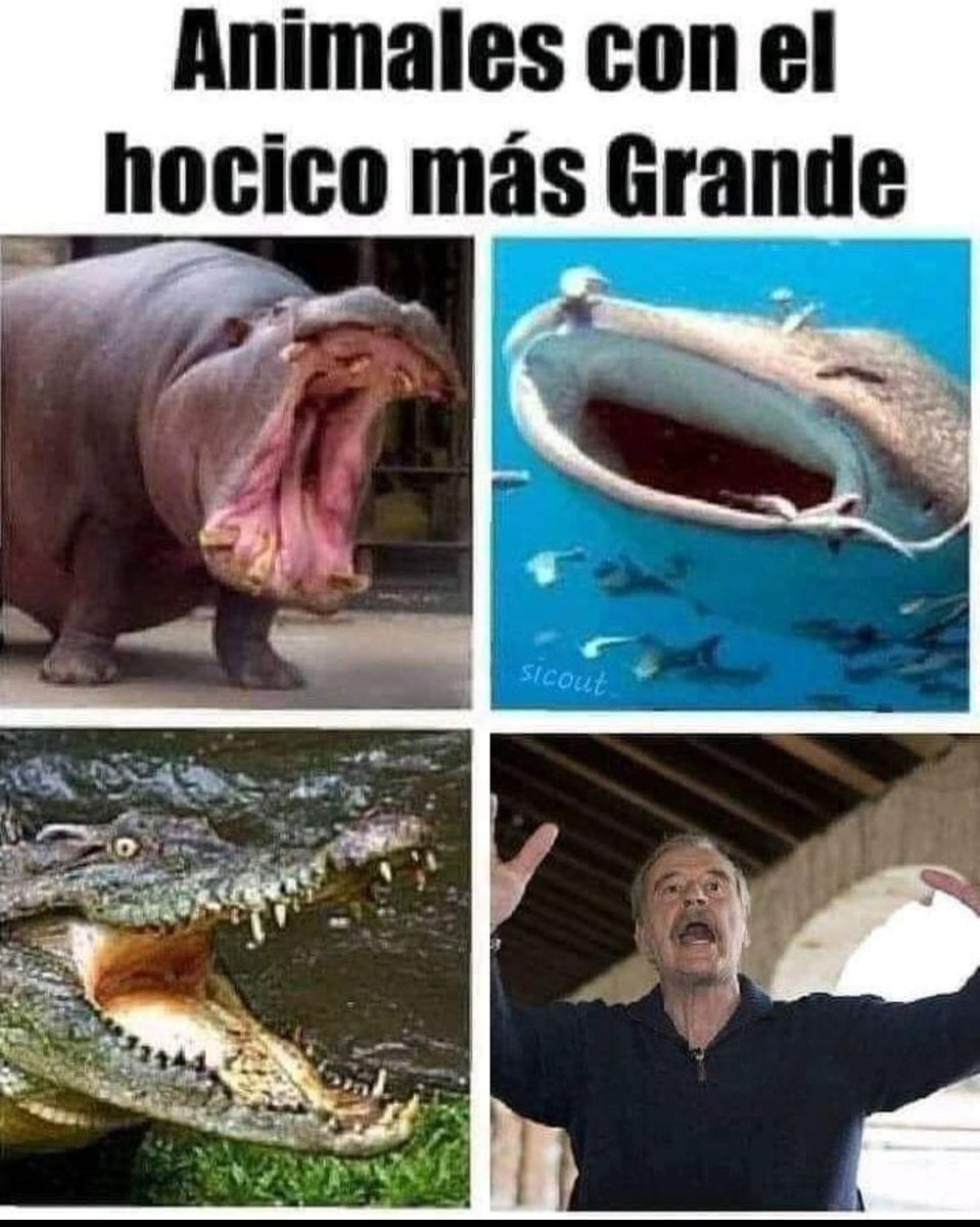 Charmis777's tweet photo. @VicenteFoxQue https://t.co/TGY6WvGg5D