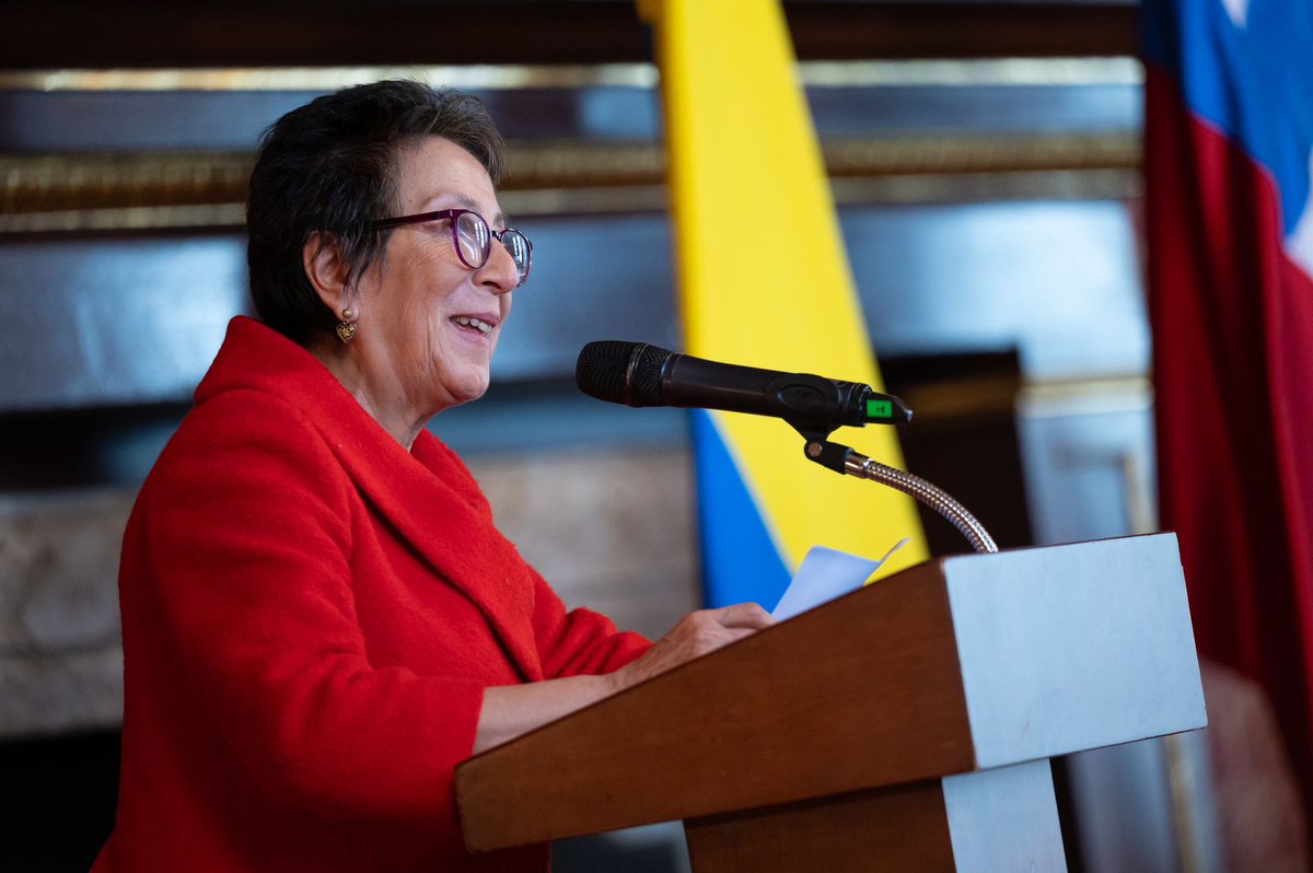 "Chile y Colombia son dos países que están muy unidos en la agenda de los temas emergentes tanto en la región como a nivel multilateral", embajadora de Chile en Colombia, S.E. María Inés Ruz Zañartu, en el Foro Binacional 🇨🇴🤝🇨🇱.