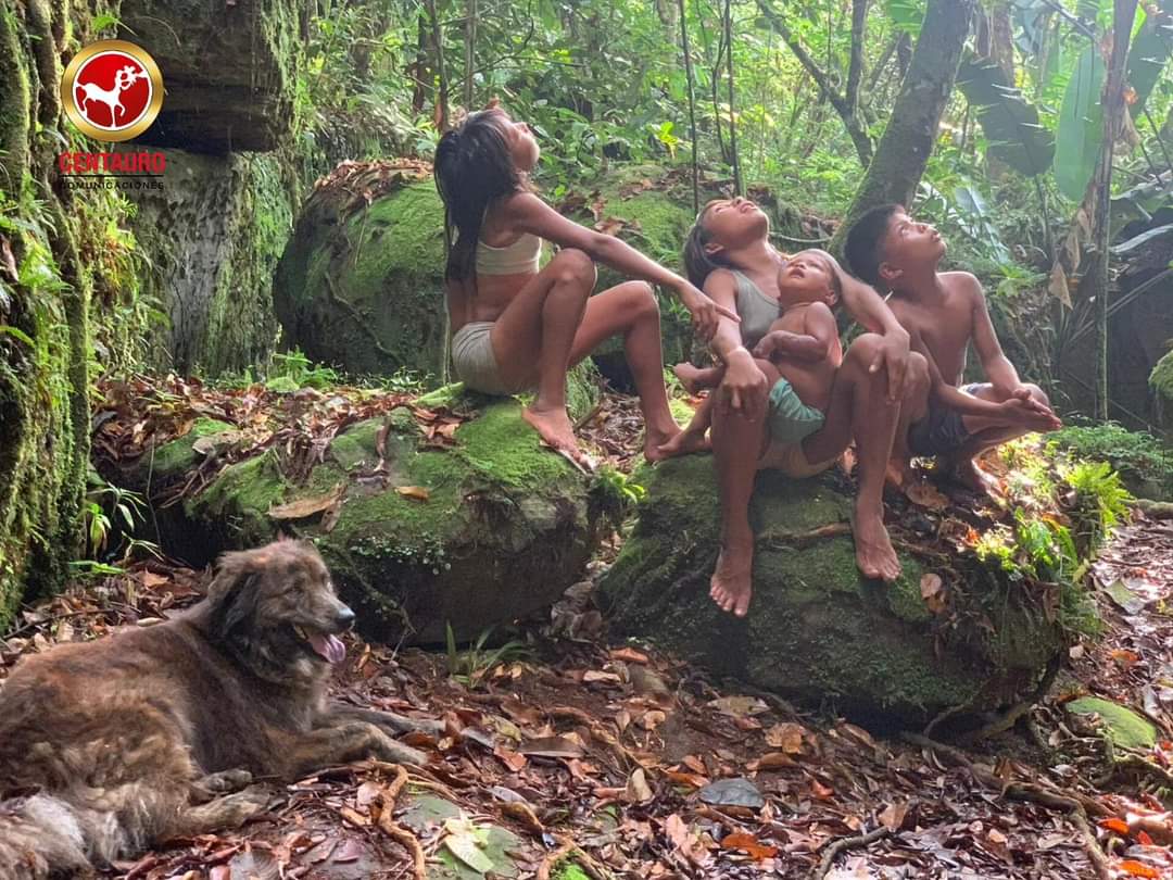 📍Willy cuidando de los niños que miran al cielo viendo los micos que los observan 🐒 #wilson #willy #niñosperdidos #perdidosenlaselva #accidente #avionetaenlaselva #40diasperdidosenlaselva #cuarentadiasperdidosenlaselva #perdidosenlaselva #cine #cinefilos #cinecolombiano