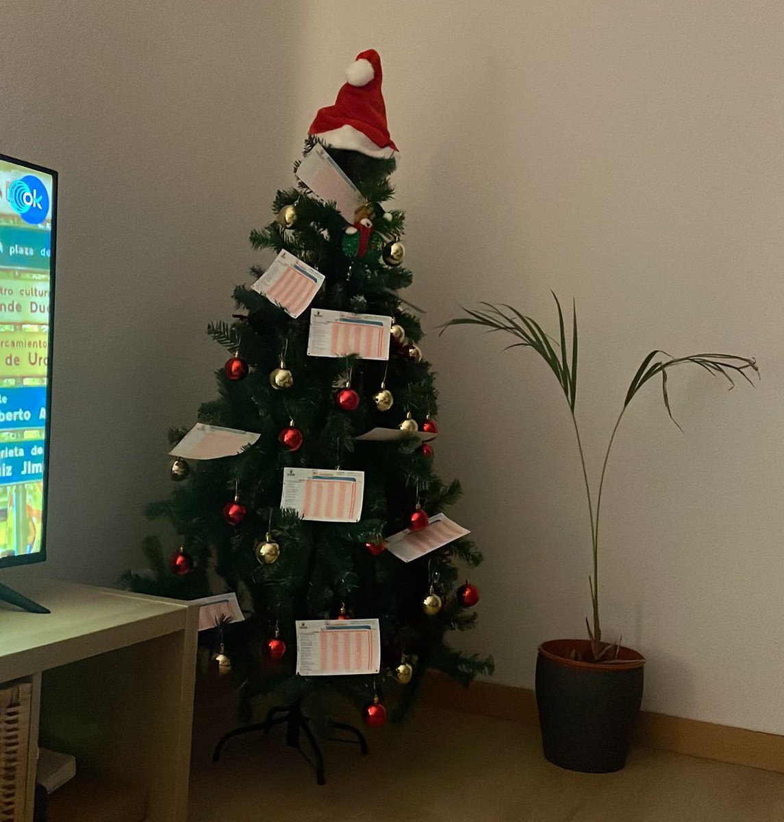 Jimbo4xL's tweet photo. en mi casa ya hemos puesto el arbol https://t.co/LUR2hFF9Ql