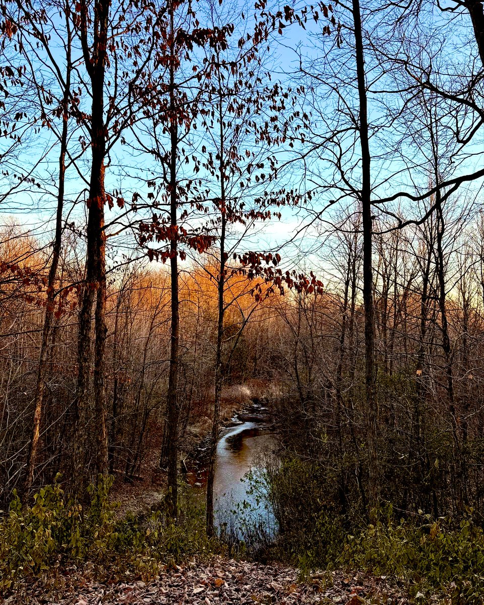 MichelleKisil's tweet photo. Early morning run views!
Let’s see what tomorrow morning will look like! 🍁❄️
#GetOutside #RunViews #SelfCare #ocsbJoy #Wellness https://t.co/DWf7JFMSE5