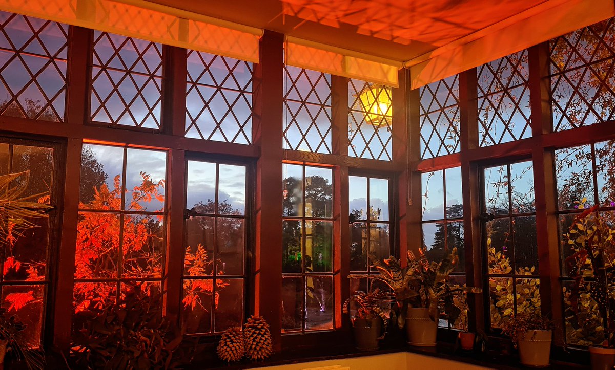 DrSueMoss's tweet photo. My office is set to be colourful in the lead up to Christmas. 😄
#RHSGlow
#eveningoffice
#lightshow https://t.co/0m3SoN6q01