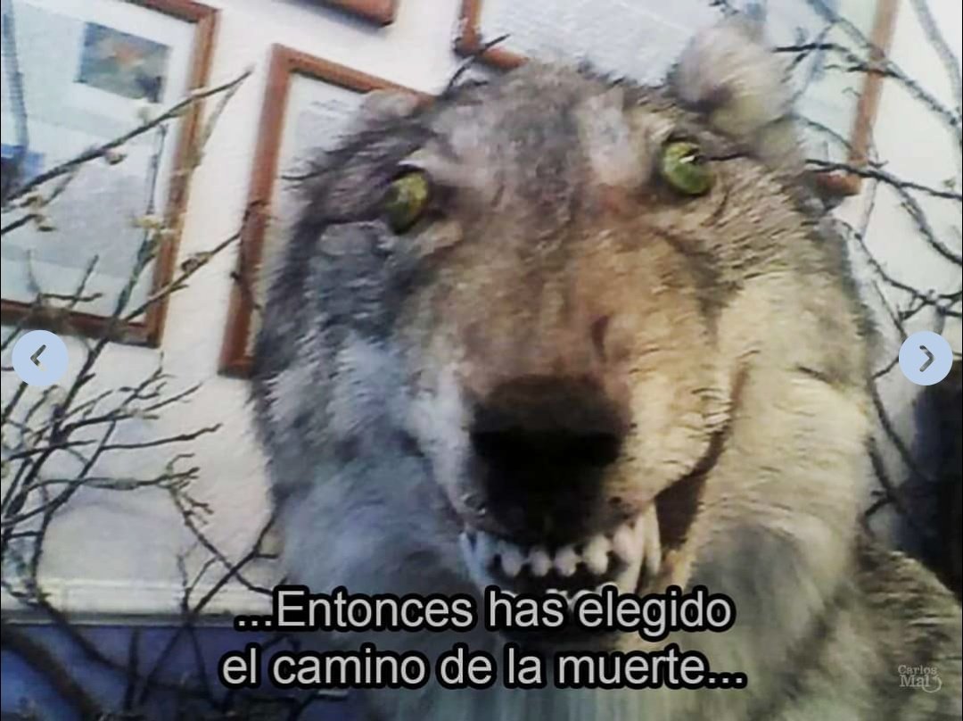 Ciclista en la bici senda de 18: *se sale 2 nanómetros de la pintura verde*

El chofer del 103 Los Aromos: