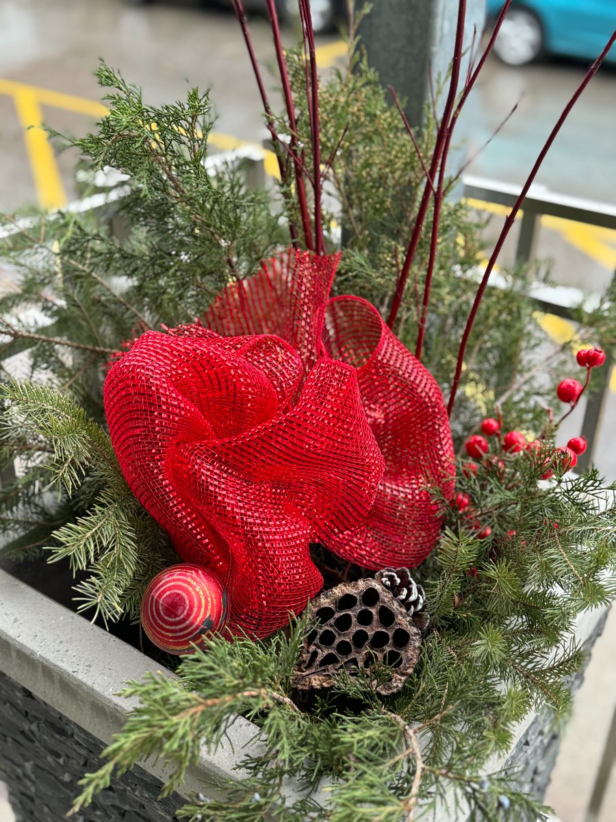 Tait Street PS tweet media