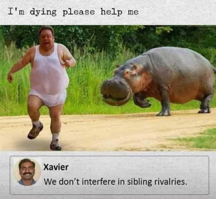 KylieHopkinsX's tweet photo. A thread of Xavier's funniest and  savage replies 😂

Add yours 👇😂 https://t.co/IJxSGfSaiM