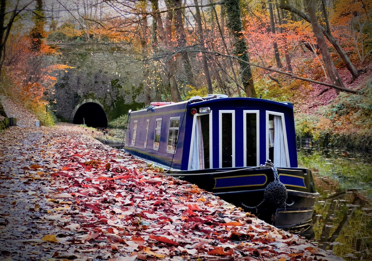 markcabin's tweet photo. Lovely walk along the canal at Chirk today @CanalRiverTrust https://t.co/H6hoODAkby