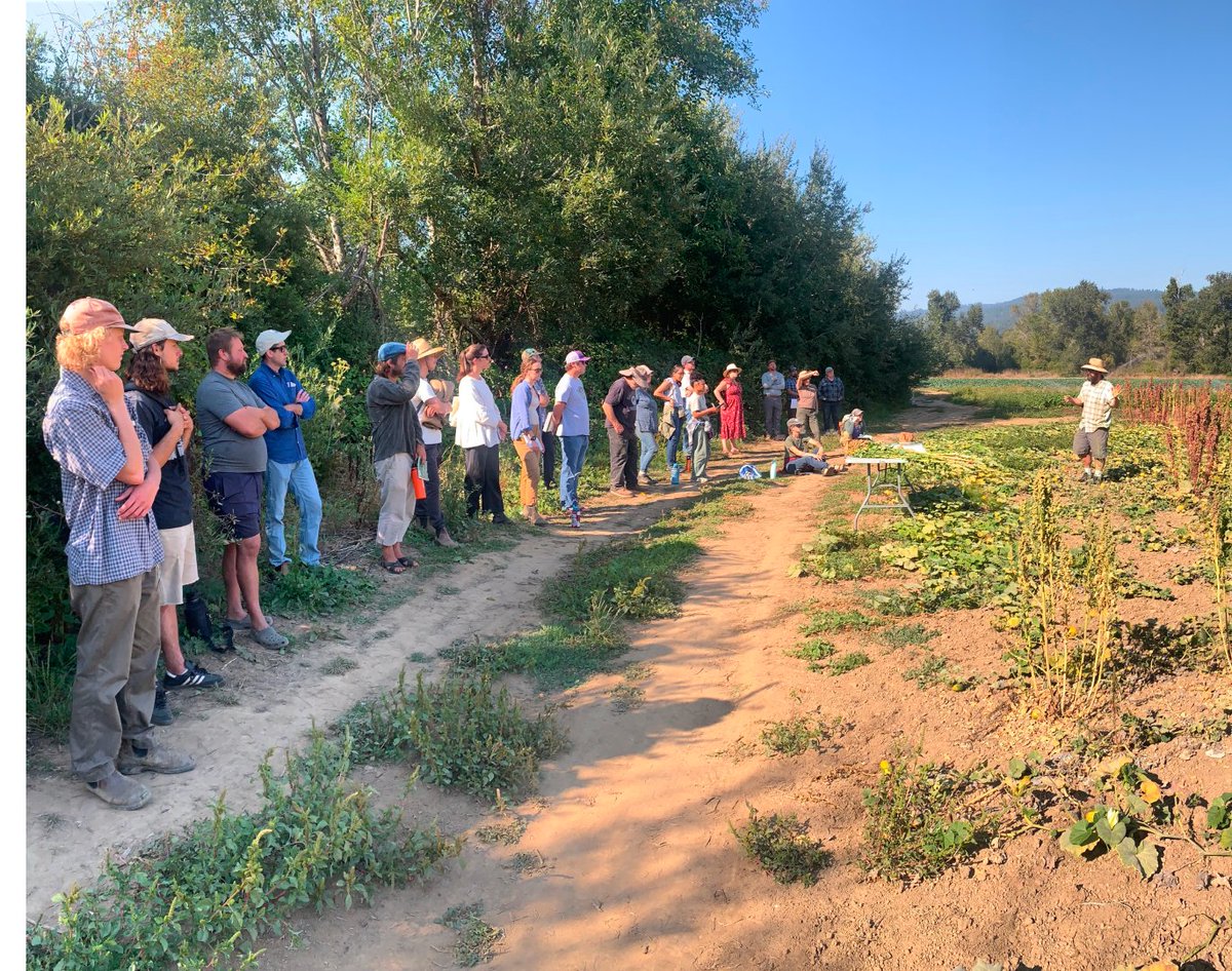Seed_Alliance's tweet photo. To our vibrant community: Thank you for nurturing our journey with steady support. Your generosity and engagement make you the heart of OSA. Here's to the next 20 years of thriving and positive impact! 🌾
#seed #20yearsstrong #gratitude #seedcommunity #thankyou https://t.co/Ic50UFqMcm