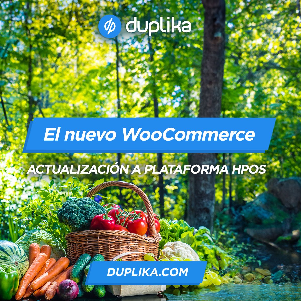 duplika's tweet image. Tu #woocommerce acelerado al máximo con la nueva generación 8. Guía de actualización paso a paso → duplika.com/blog/nuevo-woo… 

#hpos #woocommercewordpress #tiendasonline #woocommercehosting #woocommercehpos