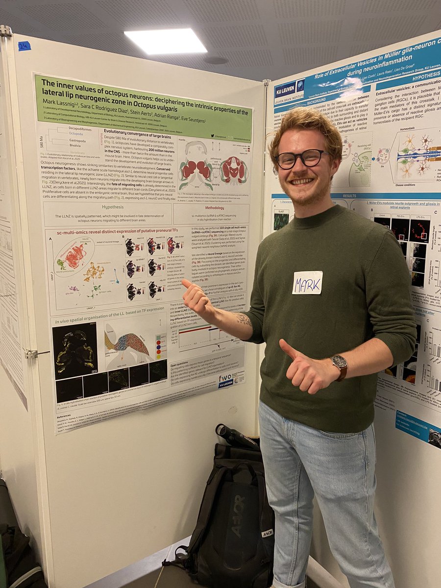 Mark Lassnig (@marklassnig) on Twitter photo Sharing my latest research about octopus neural progenitor determination at the LBI meeting 🐙💻👨🔬🥼🔬🧬 <a href="/leuvenbrainins1/">Leuven Brain Institute</a> <a href="/SeuntjensLab/">SeuntjensLab</a> Sharing my latest research about octopus neural progenitor determination at the LBI meeting 🐙💻👨🔬🥼🔬🧬 <a href="/leuvenbrainins1/">Leuven Brain Institute</a> <a href="/SeuntjensLab/">SeuntjensLab</a>