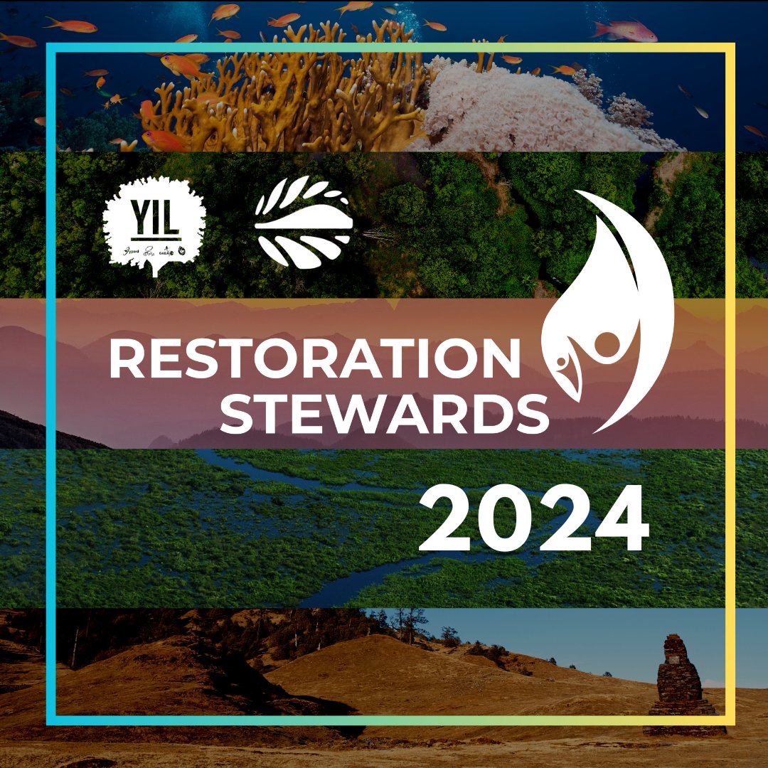 🌎🌍🌏Meet the Restoration Stewards of 2024! The @YIL_Initiative & the GLF are thrilled to announce the new cohort of Restoration Stewards who are engaging their communities worldwide in restoring our planet’s precious ecosystems. ⤵️Open the thread to meet them! #ActLandscape