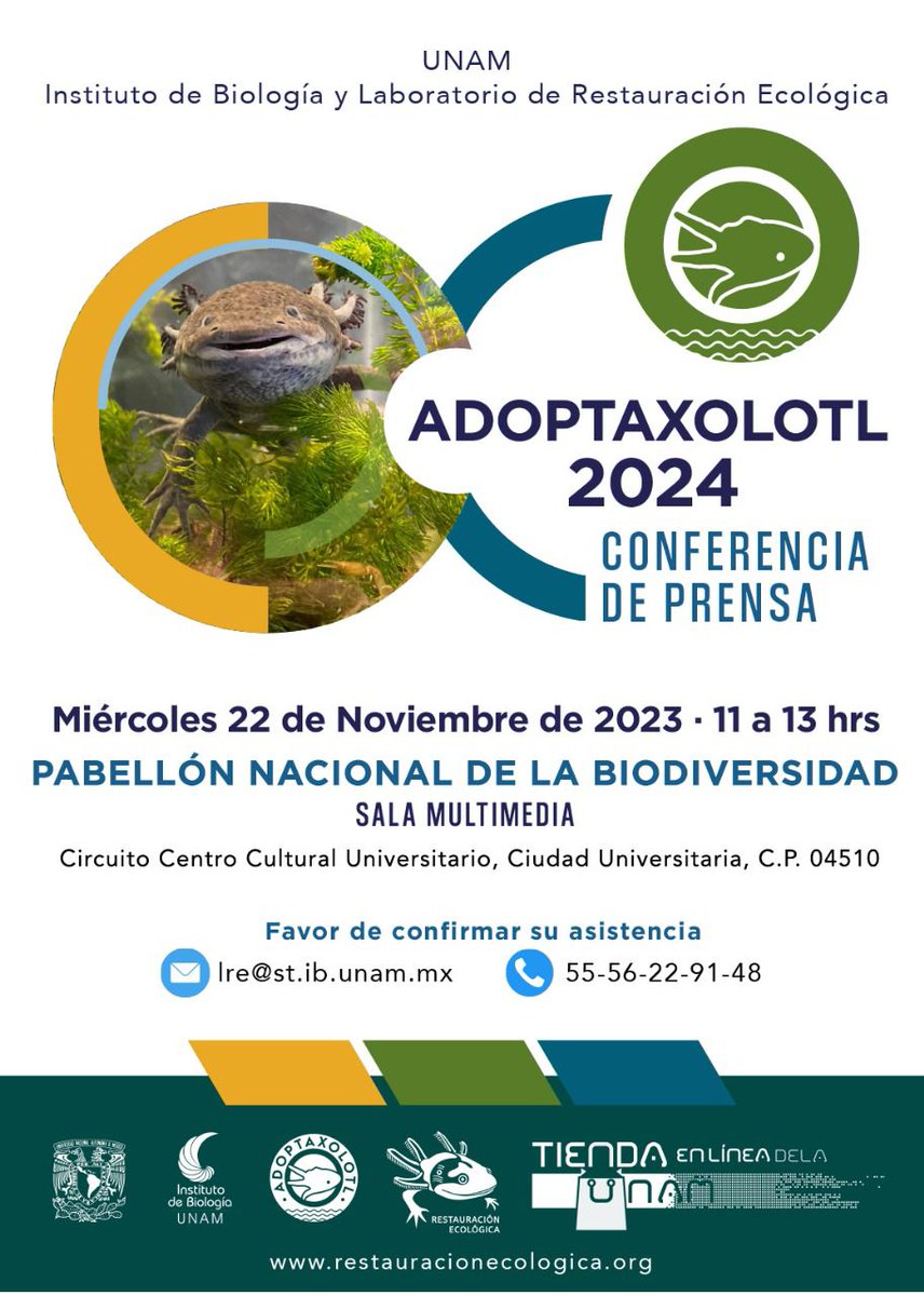 @ib_unam (@ib_unam) on Twitter photo Acompáñanos a la transmisión en vivo del lanzamiento de la campaña #AdoptAxolotl: miércoles 22 de noviembre de 11:00 a 13:00 horas (ig: @restauracionecologica_)
El <a href="/LRE_IBUNAM/">RestauraciónEcológicaᅠᅠᅠᅠᅠᅠᅠᅠᅠᅠᅠᅠᅠᅠᅠᅠᅠᅠᅠᅠᅠᅠᅠᅠᅠᅠᅠᅠᅠ</a>, busca que más personas se sumen a su causa: la conservación del axolote y de su hábitat Xochimilco. Acompáñanos a la transmisión en vivo del lanzamiento de la campaña #AdoptAxolotl: miércoles 22 de noviembre de 11:00 a 13:00 horas (ig: @restauracionecologica_)
El <a href="/LRE_IBUNAM/">RestauraciónEcológicaᅠᅠᅠᅠᅠᅠᅠᅠᅠᅠᅠᅠᅠᅠᅠᅠᅠᅠᅠᅠᅠᅠᅠᅠᅠᅠᅠᅠᅠ</a>, busca que más personas se sumen a su causa: la conservación del axolote y de su hábitat Xochimilco.