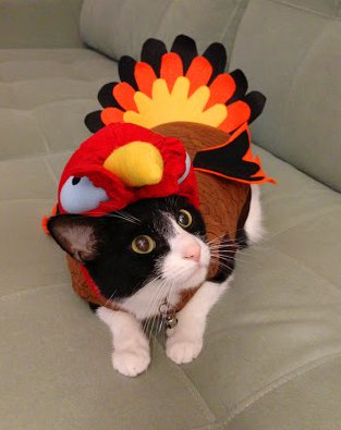 FunHouseARTcade's tweet image. Happy Thanksgiving month