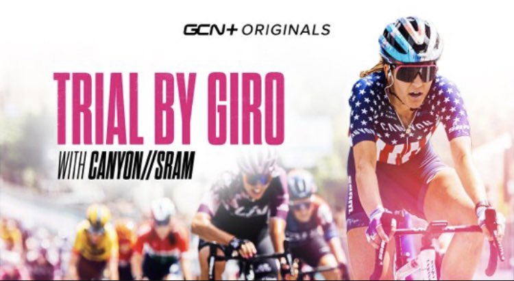 Dani Christmas tweet media