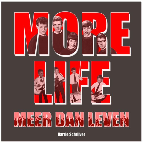 Het meeslepende verhaal over de belevenissen van de ongekend populaire jongensband More Life: 'Meer dan leven' #schalkhaar inschalkhaar.nl/het-meeslepend…