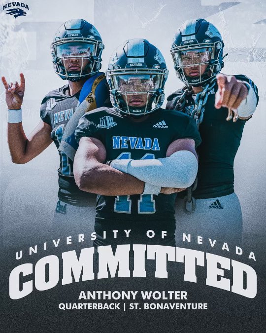 Anthony Wolter tweet media