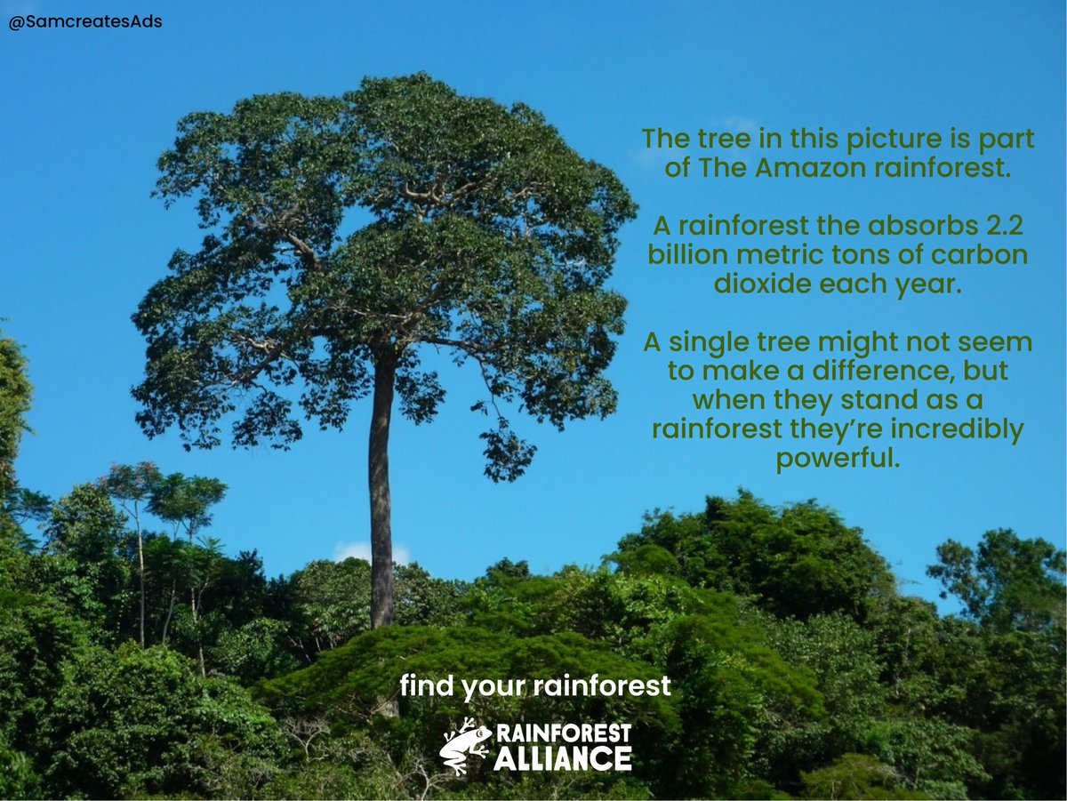 Decided to try a long copy entry <a href="/OneMinuteBriefs/">One Minute Briefs ⏱️</a> 

Create posters with <a href="/RnfrstAlliance/">Rainforest Alliance</a> to celebrate their new campaign “We’re All In” whilst inspiring people to reject pessimism &amp; join us in creating a better world. #WeAreAllIn 🏞