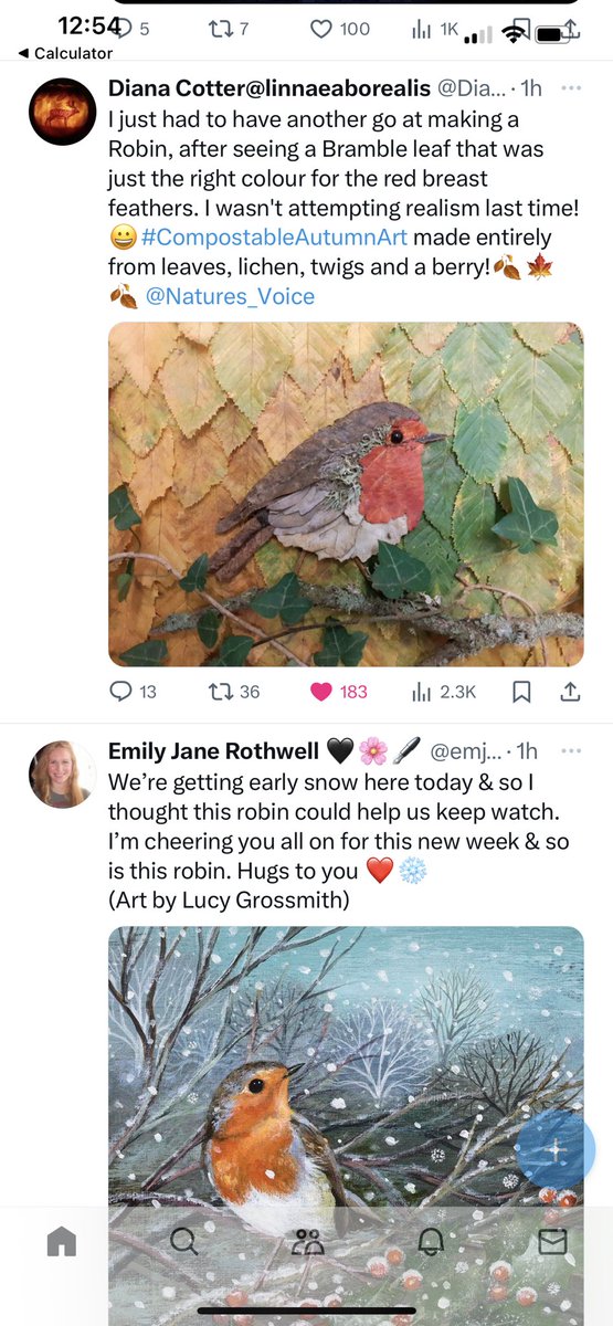 LizNovak's tweet photo. @emjanerothwell It’s a double robin sort of day! https://t.co/EvNEuAHFGB