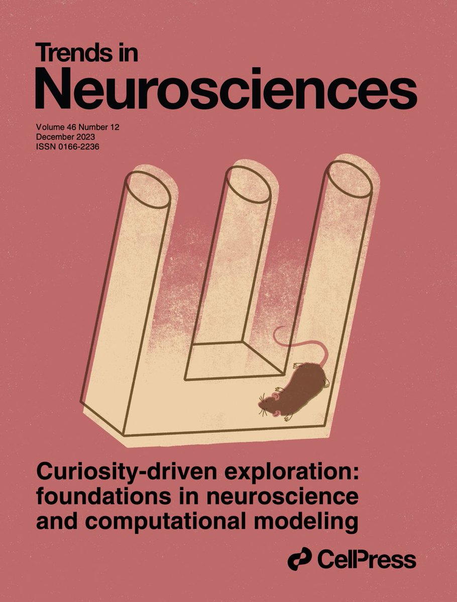 What do we talk about when we talk about 'curiosity'? 🤔 In our new paper in @TrendsNeuro (with @KacperKond, @compneuro_epfl & @sebhaesler), we address this question by reviewing the behavioral signatures, neural mechanisms, and comp. models of curiosity: doi.org/10.1016/j.tins…