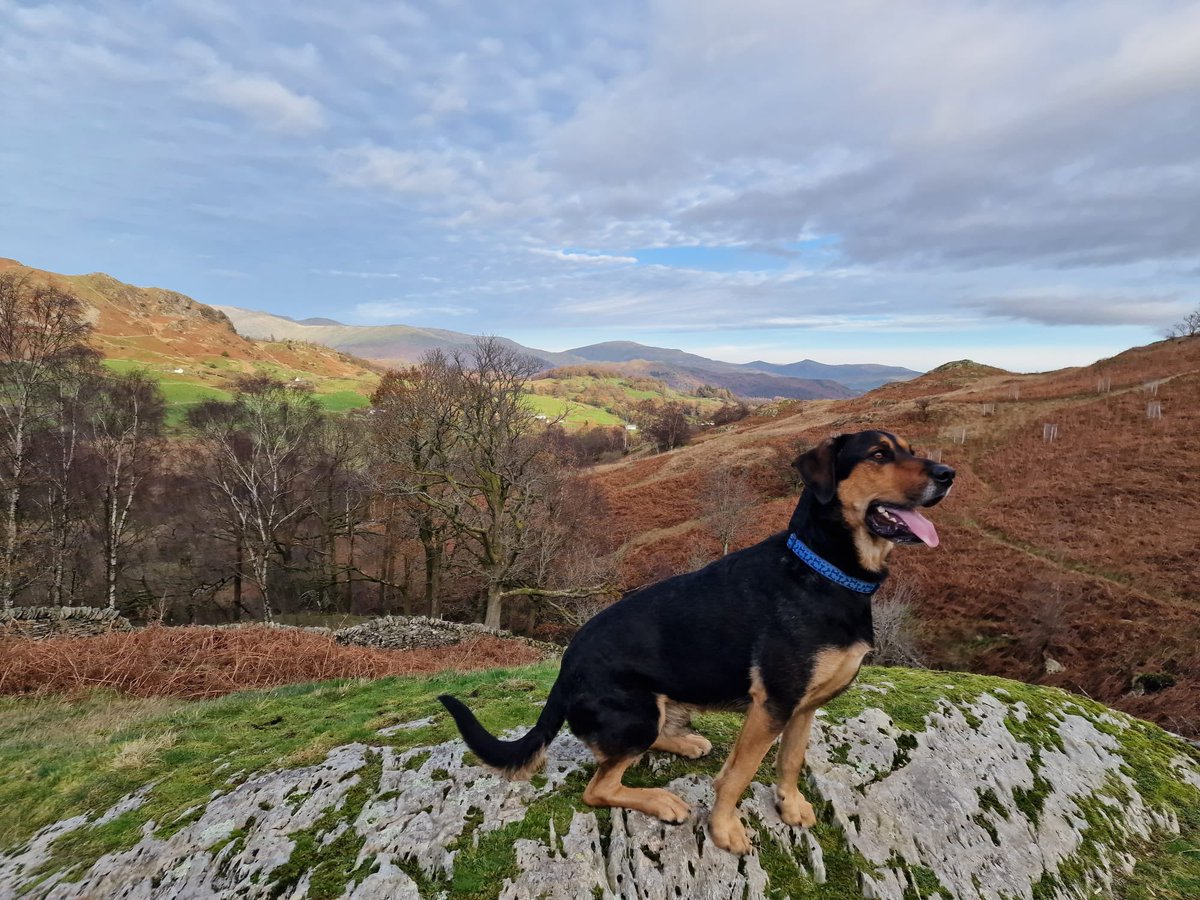 dullrob's tweet photo. Cracking few hours in the lakes near Little Langdales walking including a visit to Cathedral cave https://t.co/7OKmYvJ8YZ