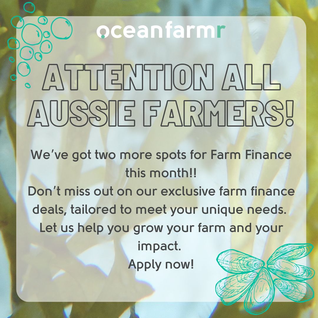 oceanfarmr_'s tweet photo. 💰 Apply now through the link below!!

https://t.co/mVoWlQdD8b

#ESG #ImpactInvesting #SustainableFinance #GreenBonds #ClimateAction #InvestInOurPlanet #OurOcean #fintech #aquaculture #technology #blueeconomy #shellfish4climate #bluetech https://t.co/UgDwWMFYsD