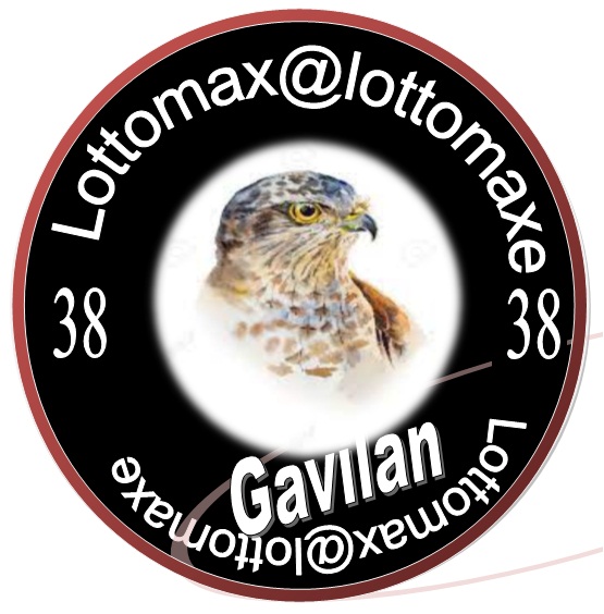 lottomaxinter's tweet photo. lotto max inter https://t.co/b3m537pRcJ
