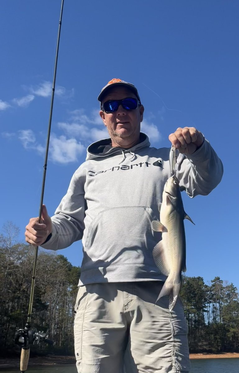 ProSteveKennedy's tweet photo. Went fishing with bud Matt Scheipeter #lakeharding #westpointlake #lakemartinalabama caught plenty TTTiny bass, few decent ones. Caught a few catfish on traps G-Ratt jerkbaits. Had blast at Lake Martin, LLLoaded! @bass_nation @Power_Pole @lowrancefishing @lithiumpros @grattbaits https://t.co/UgU3xOckcT
