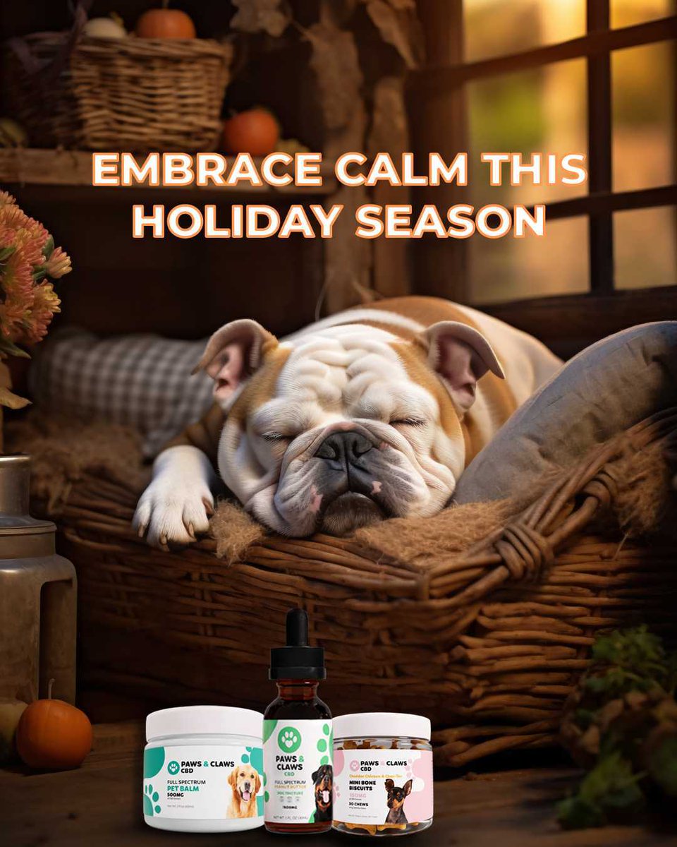 pawsandclawscbd's tweet photo. Spotlight on our CBD oil: Perfect for keeping your pets calm as the holiday season approaches. Learn more on our blog
https://t.co/lxtbmUvqrw
#pawsandclawscbd #cbdforpets #anxiety #cbdforpain #cbd #petlover #doglovers #PetWellness #CBDheals #thanksgiving #PetHealth #PetCare https://t.co/NYUiiQslOw