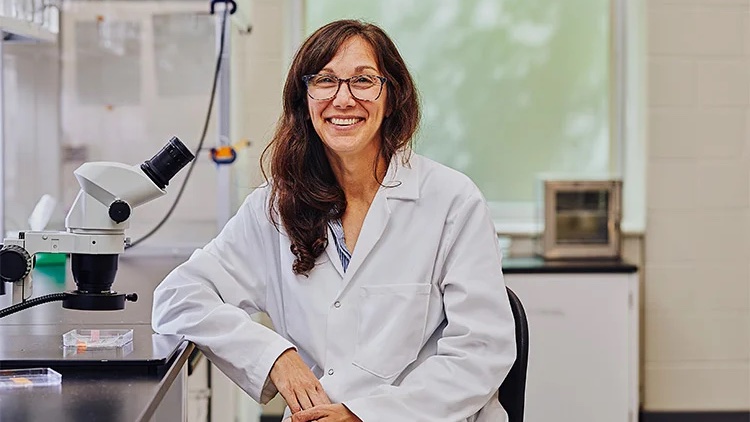 #UofT researcher Chelsea Rochman receives Arthur B. McDonald Fellowship 🔬 uoft.me/9VT