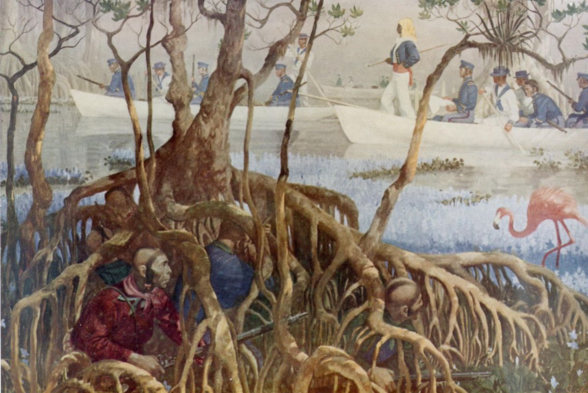 #OnThisDay in 1817 a US force was dispatched to seize the Miccosukee village of Fowltown, seen by some as the start of the First Seminole War #dailyfootnote