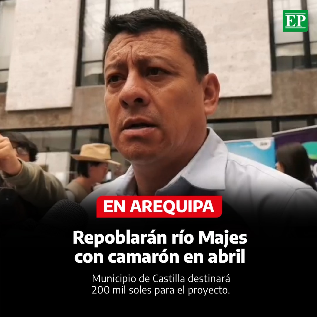Diario_EP's tweet photo. #Arequipa | En abril del 2024 iniciará el proyecto de #repoblamiento del #camarón en el río Majes, con un presupuesto de 200 mil soles para los próximos tres años, informó ayer el alcalde provincial de #Castilla, Renzo Pastor.
La iniciativa constará de la #extracción de larvas y el desarrollo de un #sistema de manejo para criar la especie, en cautiverio de ser posible, y lograr su repoblamiento que se espera alcance el 70% de lo que regularmente producía la cuenca, explicó.
Detalló que el camarón entra en #veda desde el 20 de diciembre hasta el 31 de marzo, periodo en que está #prohibido extraerlo de todos los afluentes de la región.
El burgomaestre remarcó la importancia de repoblar el recurso hidrobiológico, ayer en que anunció la realización del #Festival del Camarón de Aplao, los días 25 y 26 de noviembre en la explanada del #ríoMajes.