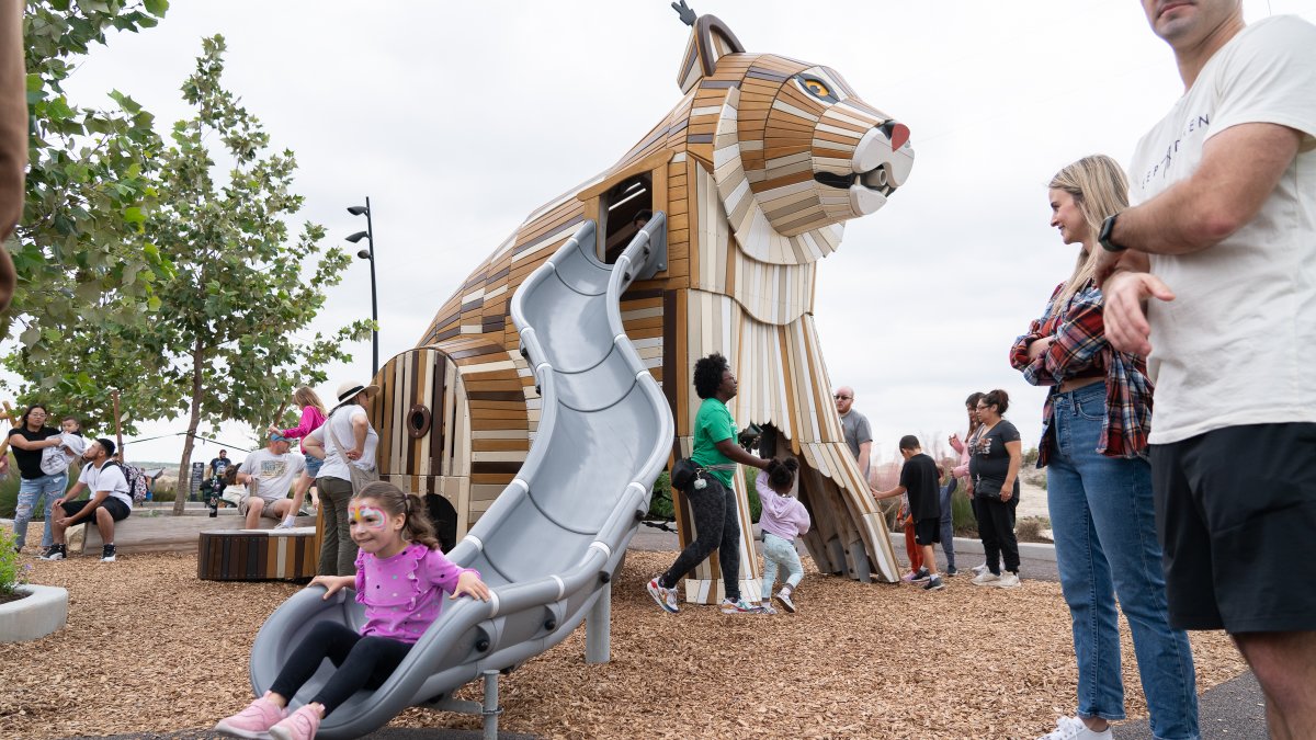 City of Kyle tweet media