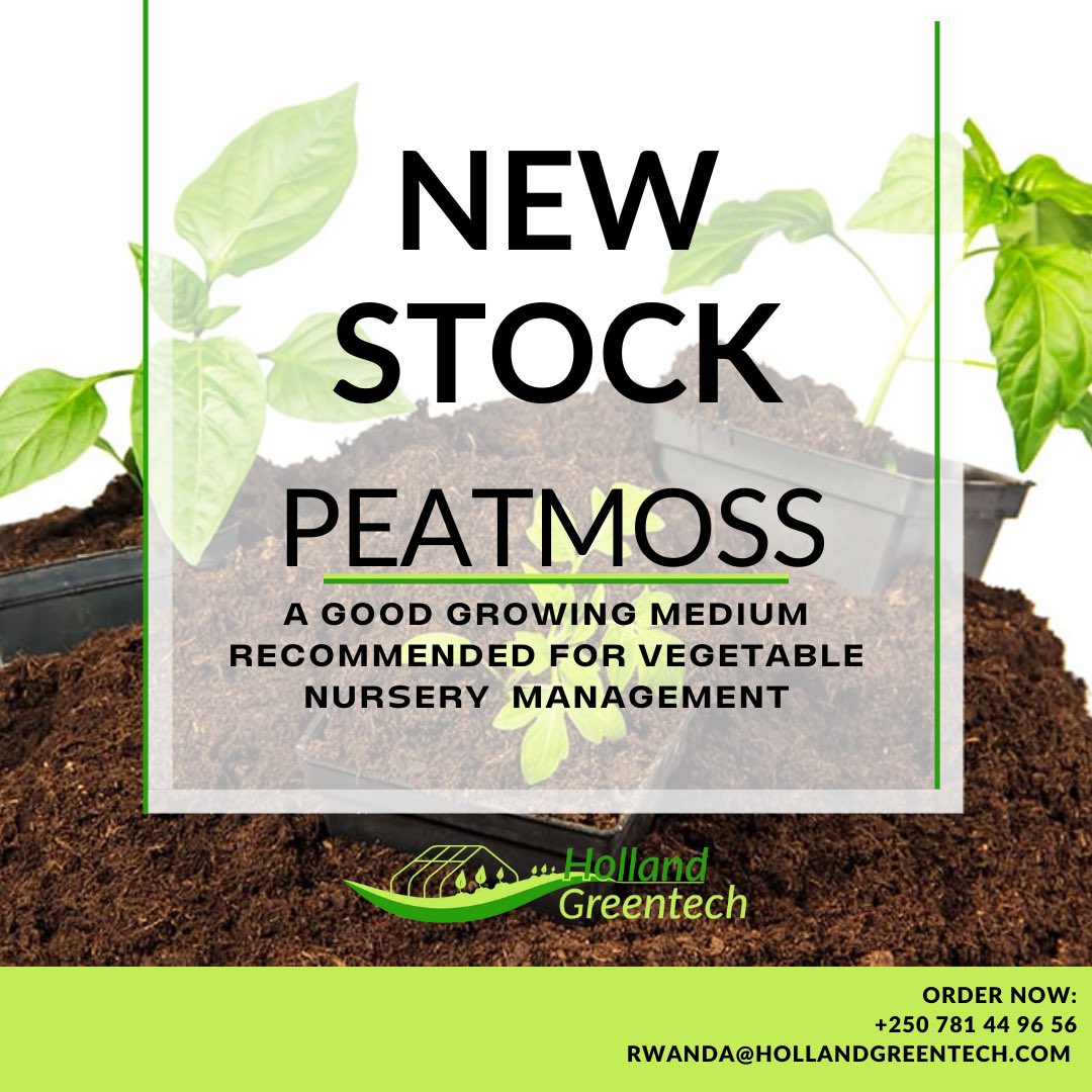 HGTRwanda's tweet photo. 🚨🚨#NewStock🚨🚨
Finally, #Peatmoss in our store!
We are ready for your orders☺️
📲+250781449656
#Vegetable #Nursery
#GrowingMedia
#AchieveTheNextStep in #Horticulture https://t.co/CZ6QfoKe4t