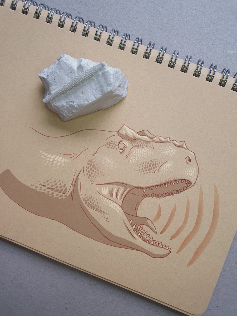 ConfusedHadro's tweet photo. #Archovember Day 21: Yangchuanosaurus shangyouensis

#paleoart #palaeoart #dinosaur #art #dinovember #Yangchuanosaurus #Theropoda #Theropod https://t.co/glBc5UkrRt
